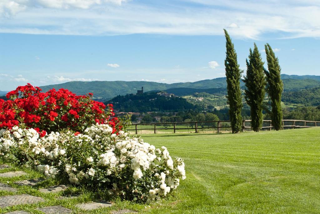 Antico Fio Pension Poppi Buitenkant foto